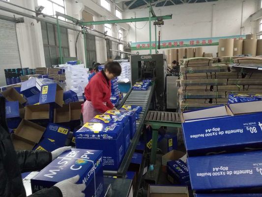 Другие бумажные копии для отделки бумаги формата А4 формата А3