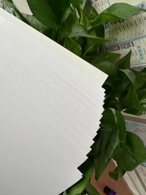 Бумага для печати на заказ 210/230/250/270/300gsm FBB/GC1/C1S стандарта