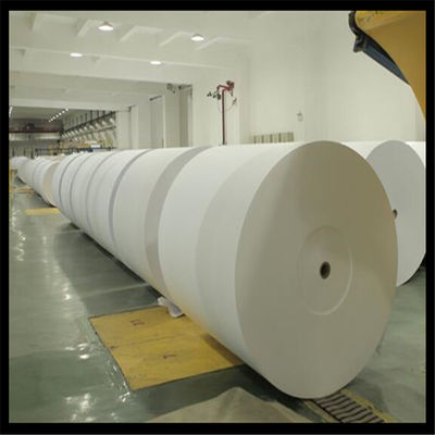 Противововоротная копия бумаги Jumbo Roll для резки А4 из деревянной целлюлозы