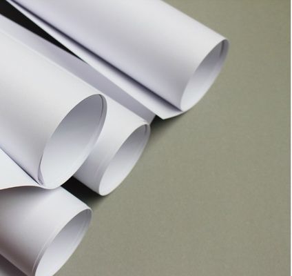Копировальная бумага 80 грамм Jumbo Roll для печати на заказ Изготовлена из девственной целлюлозы