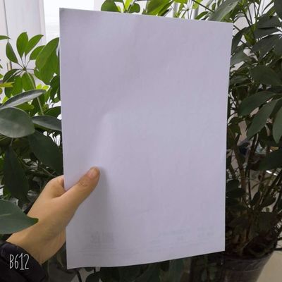 Специальный размер 70GSM 80GSM сырой белый бумажный бумажник Yunbao для упаковочной бумаги для пищевых продуктов