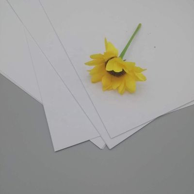 Требования таможни и антикривая NEVIA Art Paper для печати