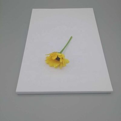 Требования таможни и антикривая NEVIA Art Paper для печати