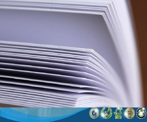 Химико-механическая целлюлозная целлюлоза FBB/Fold C1S FOLDING BOX BOARD/Ivory Board для защиты от влаги