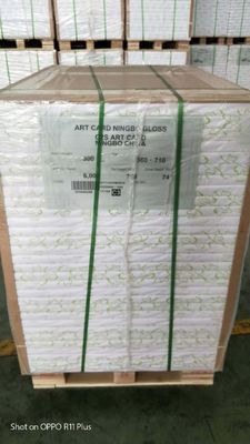 Одностороннее покрытие FBB Ivory Board для упаковки