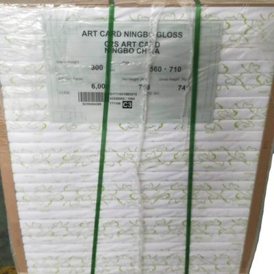 Площадь из дерева FBB Ivory Board из Ningbo Fold Принимает заказ по заказу и может быть настроен